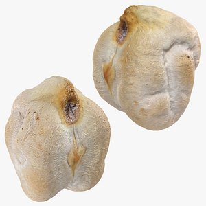 Dry Garbanzo Bean Collection