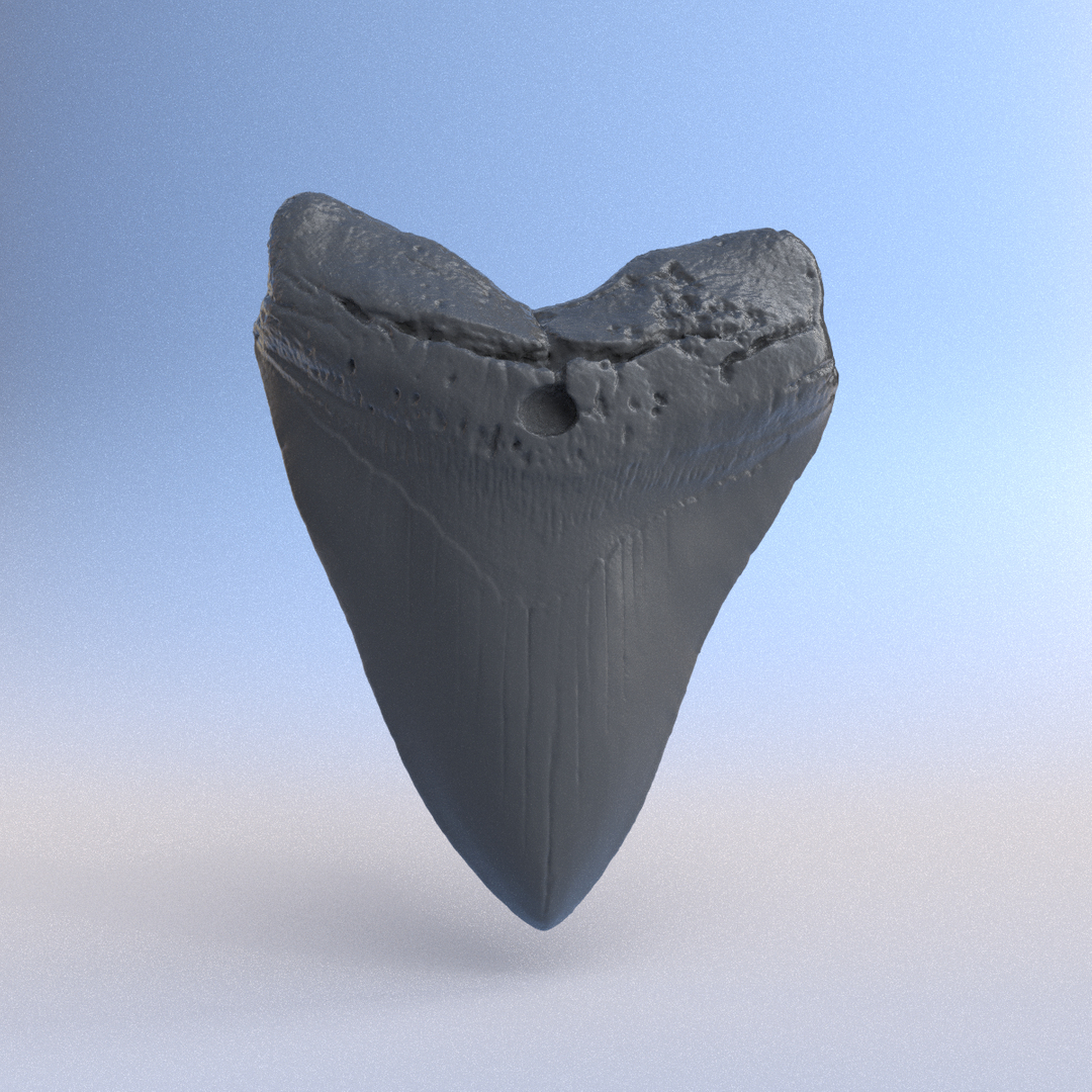 Max Scan Tooth