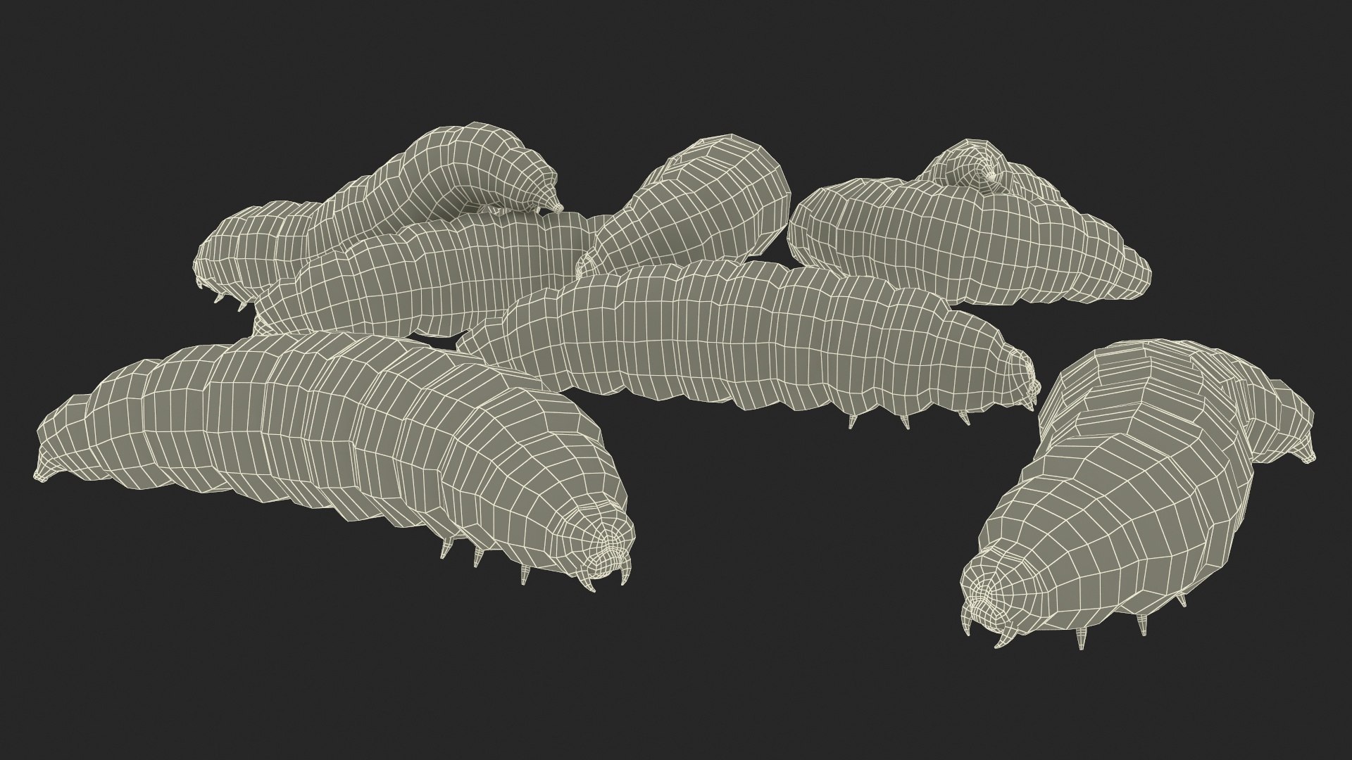 Maggot Fly Scene model https://p.turbosquid.com/ts-thumb/2f/QVbwk6/4P/maggotflyscenemb3dmodel028/jpg/1702431279/1920x1080/fit_q87/b84a20114a9e6b31f8e4b388ace3c4efd193f04b/maggotflyscenemb3dmodel028.jpg