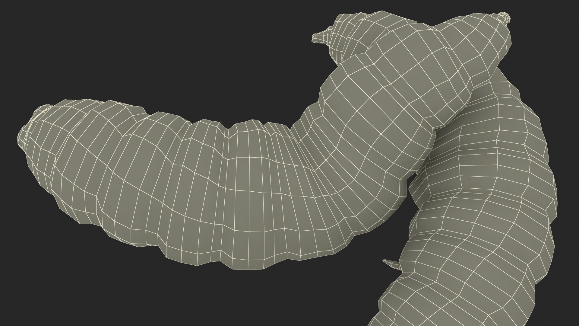 Maggot Fly Scene model https://p.turbosquid.com/ts-thumb/2f/QVbwk6/Je/maggotflyscenemb3dmodel034/jpg/1702431299/1920x1080/fit_q87/205cdda518448f6386882987b90a35771b6cb6c6/maggotflyscenemb3dmodel034.jpg
