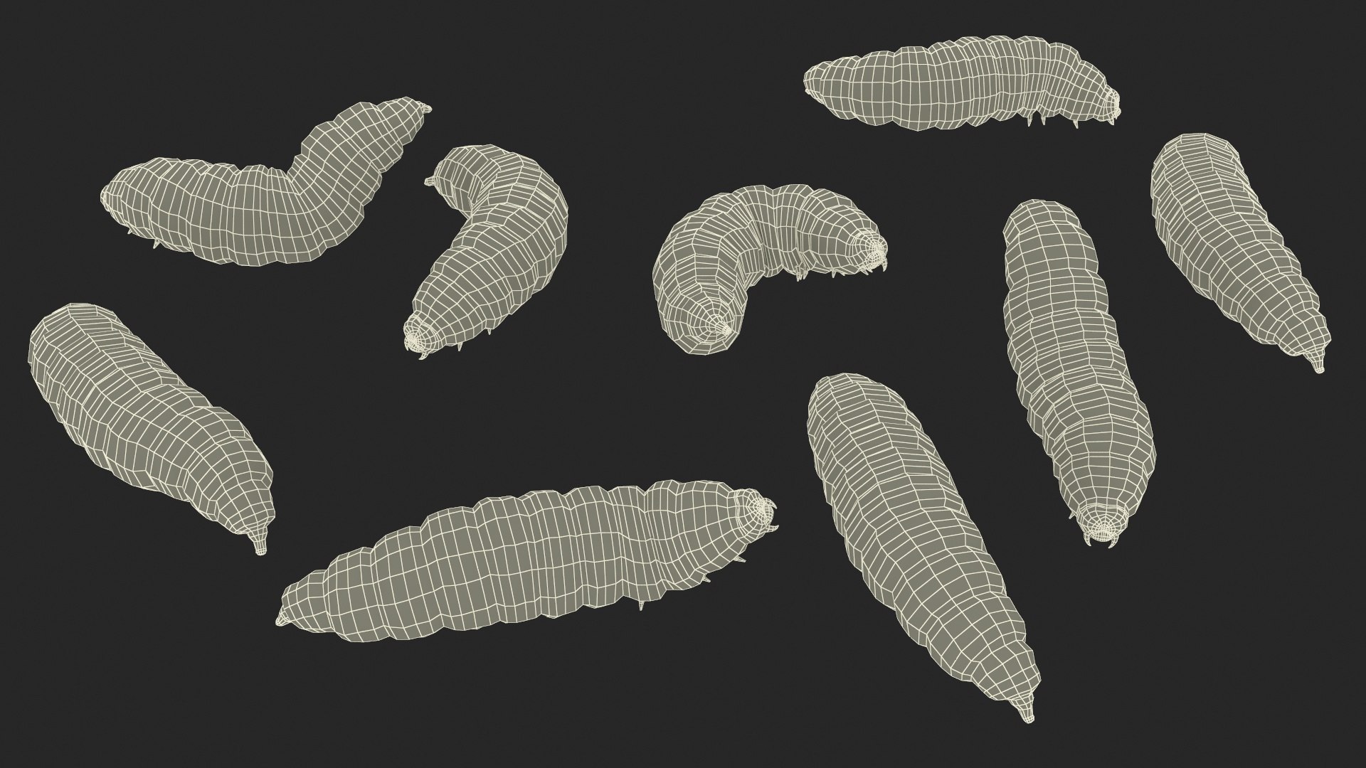 Maggot Fly Scene model https://p.turbosquid.com/ts-thumb/2f/QVbwk6/bh/maggotflyscenemb3dmodel032/jpg/1702431292/1920x1080/fit_q87/9c6b7cc96e926a14b9d168bab66b3efb4640be9d/maggotflyscenemb3dmodel032.jpg