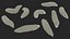 Maggot Fly Scene