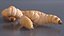 Maggot Fly Scene