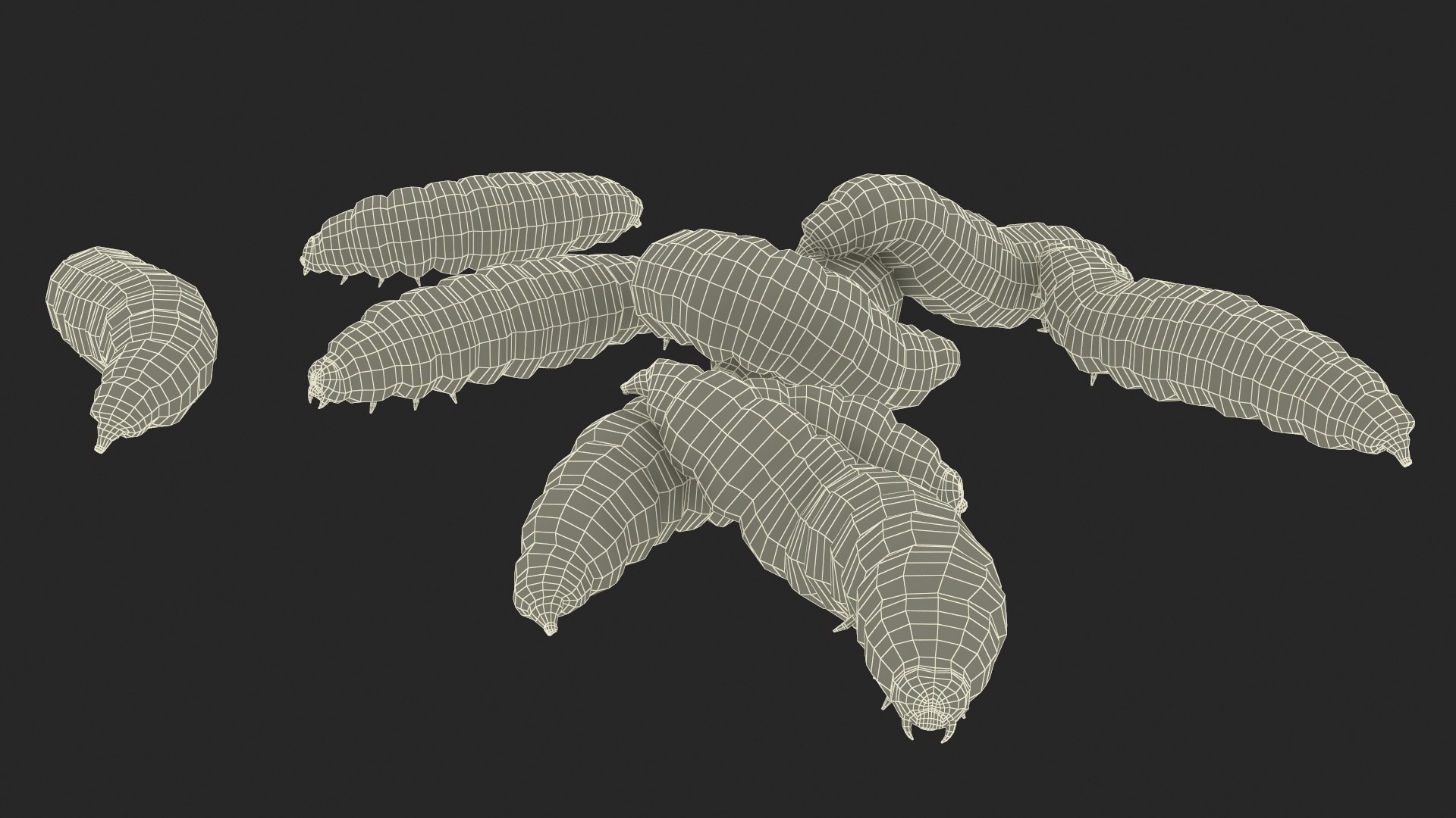 Maggot Fly Scene model https://p.turbosquid.com/ts-thumb/2f/QVbwk6/p1/maggotflyscenemb3dmodel029/jpg/1702431282/1920x1080/fit_q87/d2346225a689a60978b7c806de387810cf8492c1/maggotflyscenemb3dmodel029.jpg