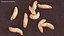 Maggot Fly Scene