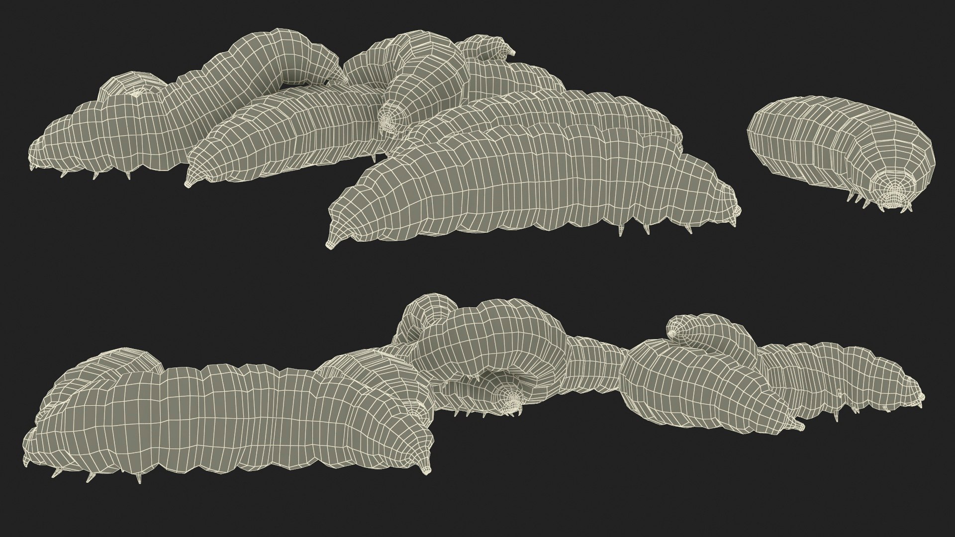 Maggot Fly Scene model https://p.turbosquid.com/ts-thumb/2f/QVbwk6/rY/maggotflyscenemb3dmodel031/jpg/1702431289/1920x1080/fit_q87/fb9f63c4a6d138ad973ee6806611b32380940dfb/maggotflyscenemb3dmodel031.jpg