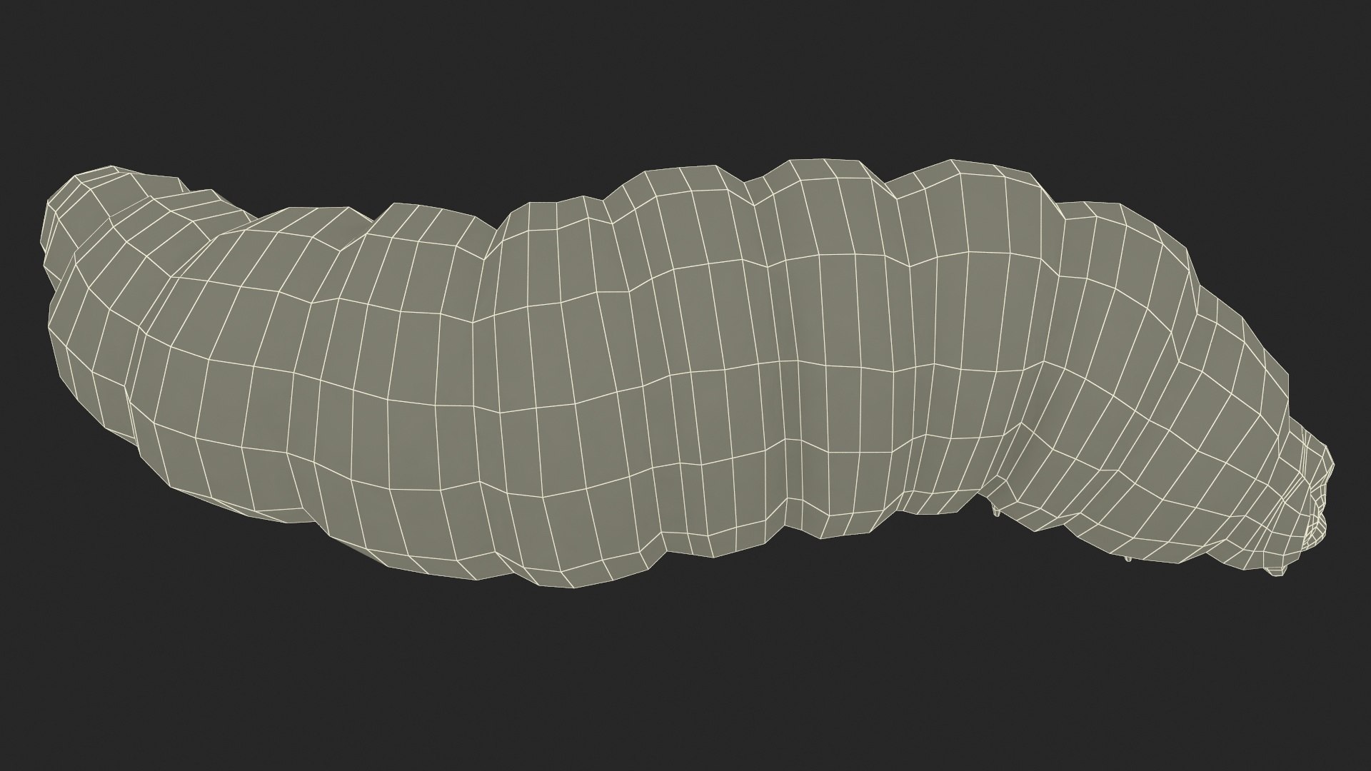 Maggot Fly Scene model https://p.turbosquid.com/ts-thumb/2f/QVbwk6/ti/maggotflyscenemb3dmodel033/jpg/1702431295/1920x1080/fit_q87/9de9c591e0a3036f6828ffc6cc6b4c7faf45d9d1/maggotflyscenemb3dmodel033.jpg
