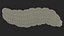 Maggot Fly Scene