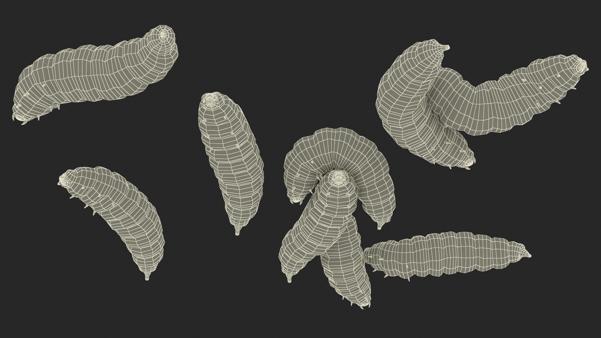 Maggot Fly Scene model https://p.turbosquid.com/ts-thumb/2f/QVbwk6/vm/maggotflyscenemb3dmodel030/jpg/1702431285/1920x1080/fit_q87/55b801dcda833b84e7bcbd634cba4c56ad0dc035/maggotflyscenemb3dmodel030.jpg