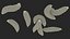 Maggot Fly Scene