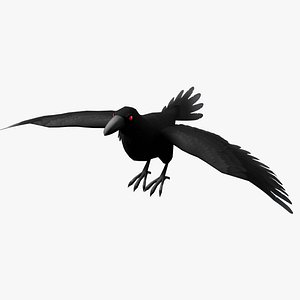 3D Crow rigged 3d Model