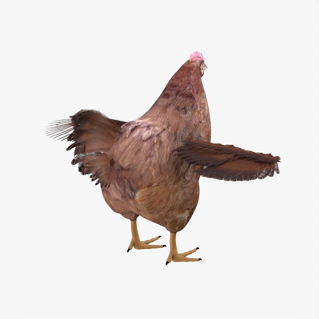 bird chicken 3D model https://p.turbosquid.com/ts-thumb/2f/aMsg14/uvmm1um5/hen3/jpg/1586067194/1920x1080/fit_q87/82db07030c9c52a6134231f9224866fb3bf09206/hen3.jpg