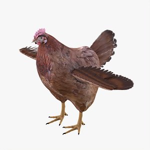 Chicken Bird Rigged