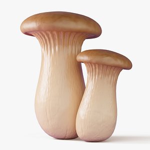 Eryngii Mushrooms