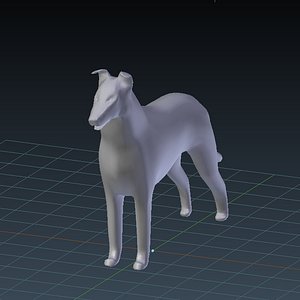 Smooth Collie