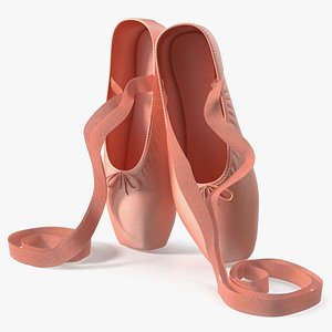 Ballet Pointe Shoes