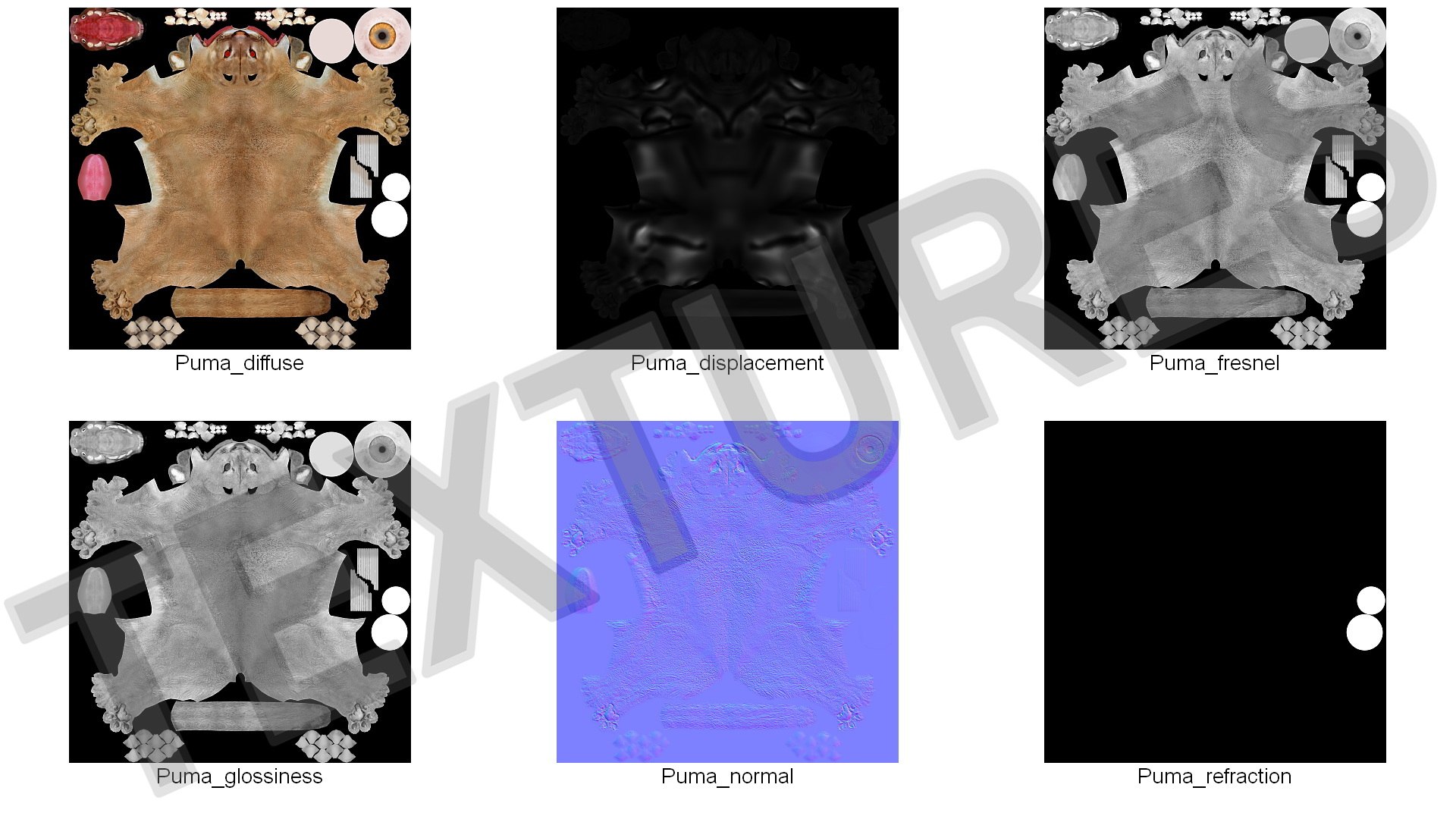 Puma Rigged 3D model https://p.turbosquid.com/ts-thumb/2g/7vBYz8/EK/puma_rigged_021/jpg/1716125634/1920x1080/fit_q87/bb6b9fe27bf0b11144f887e1d3c8ac9048eb9336/puma_rigged_021.jpg