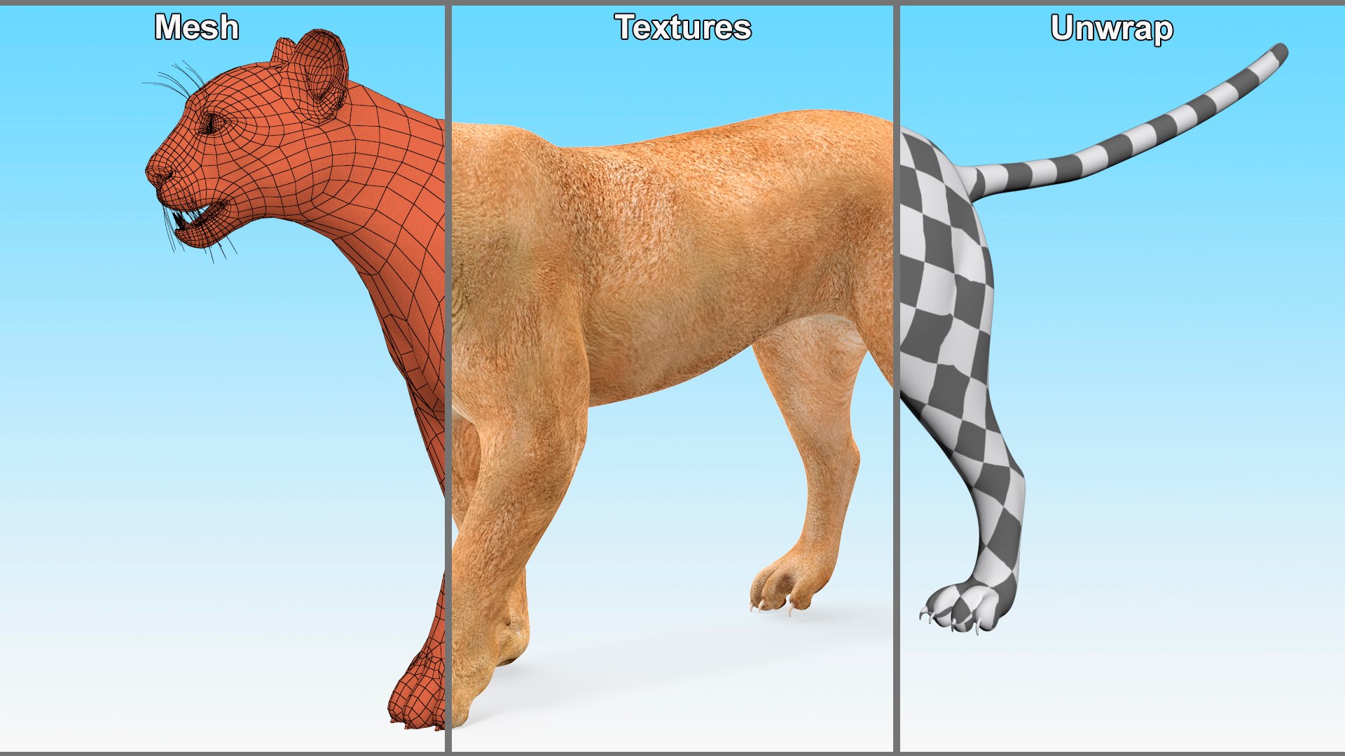 Puma Rigged 3D model https://p.turbosquid.com/ts-thumb/2g/7vBYz8/KX/puma_rigged_018/jpg/1716125632/1920x1080/fit_q87/7a07bf0edfe0c3de56575ba617b0f7fe9876b139/puma_rigged_018.jpg