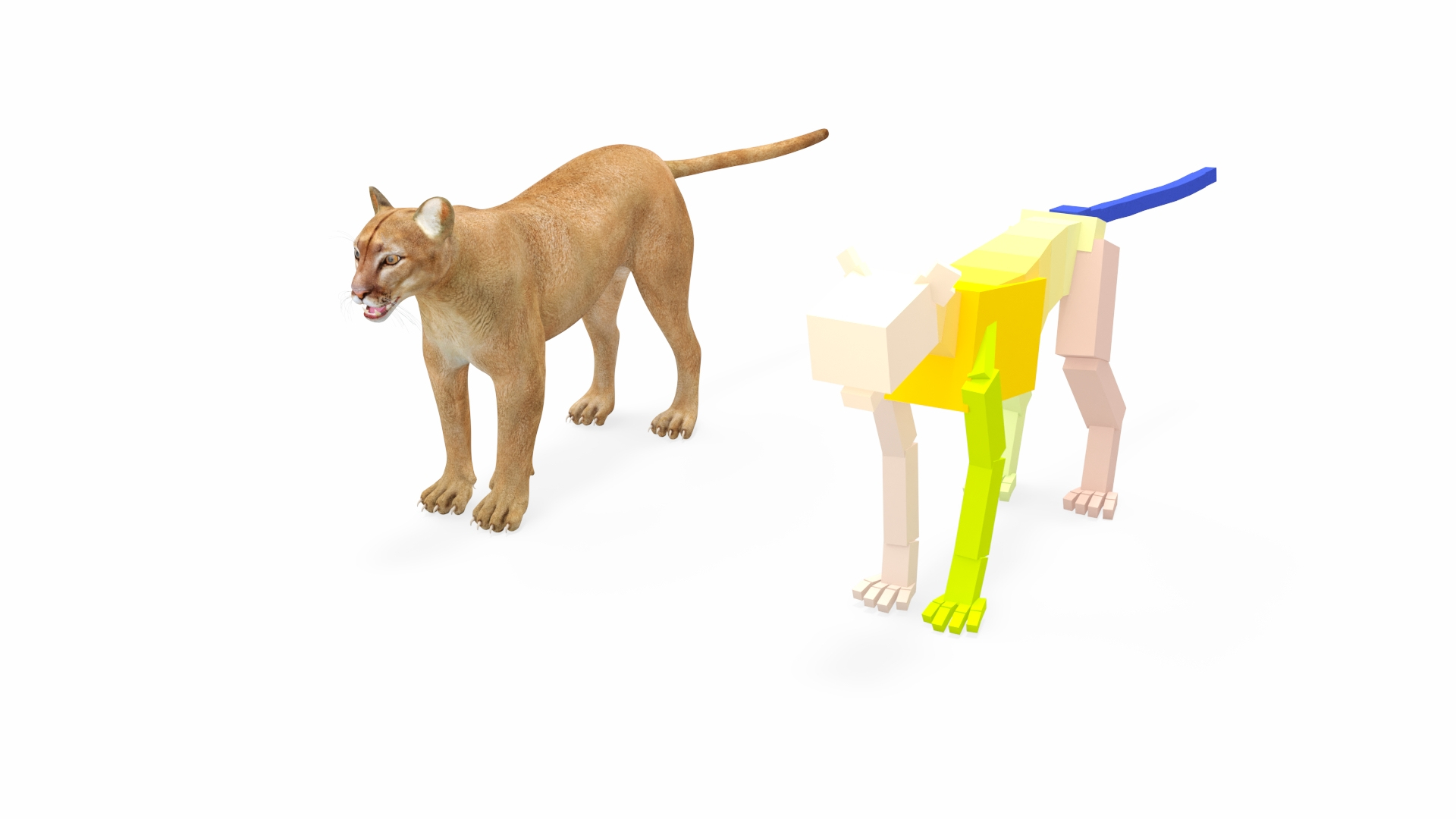 Puma Rigged 3D model https://p.turbosquid.com/ts-thumb/2g/7vBYz8/Tt/puma_rigged_362/jpg/1722320767/1920x1080/turn_fit_q99/6cdb18bc2bd6497c69782ad2184c86e658c5e4fb/puma_rigged_362-1.jpg