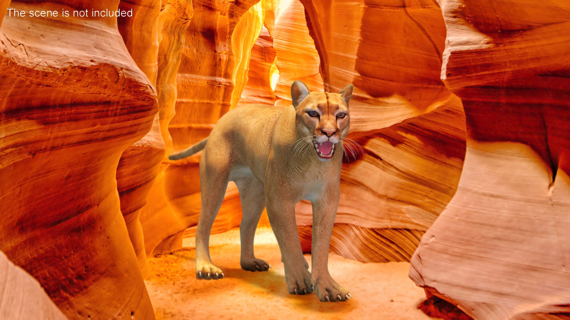 Puma Rigged 3D model https://p.turbosquid.com/ts-thumb/2g/7vBYz8/bI/reproduction__puma_rigged_007/jpg/1719848298/1920x1080/fit_q87/5fe8beb8514390f430f174ad904a87d3df7de903/reproduction__puma_rigged_007.jpg