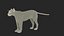 Puma Rigged 3D model