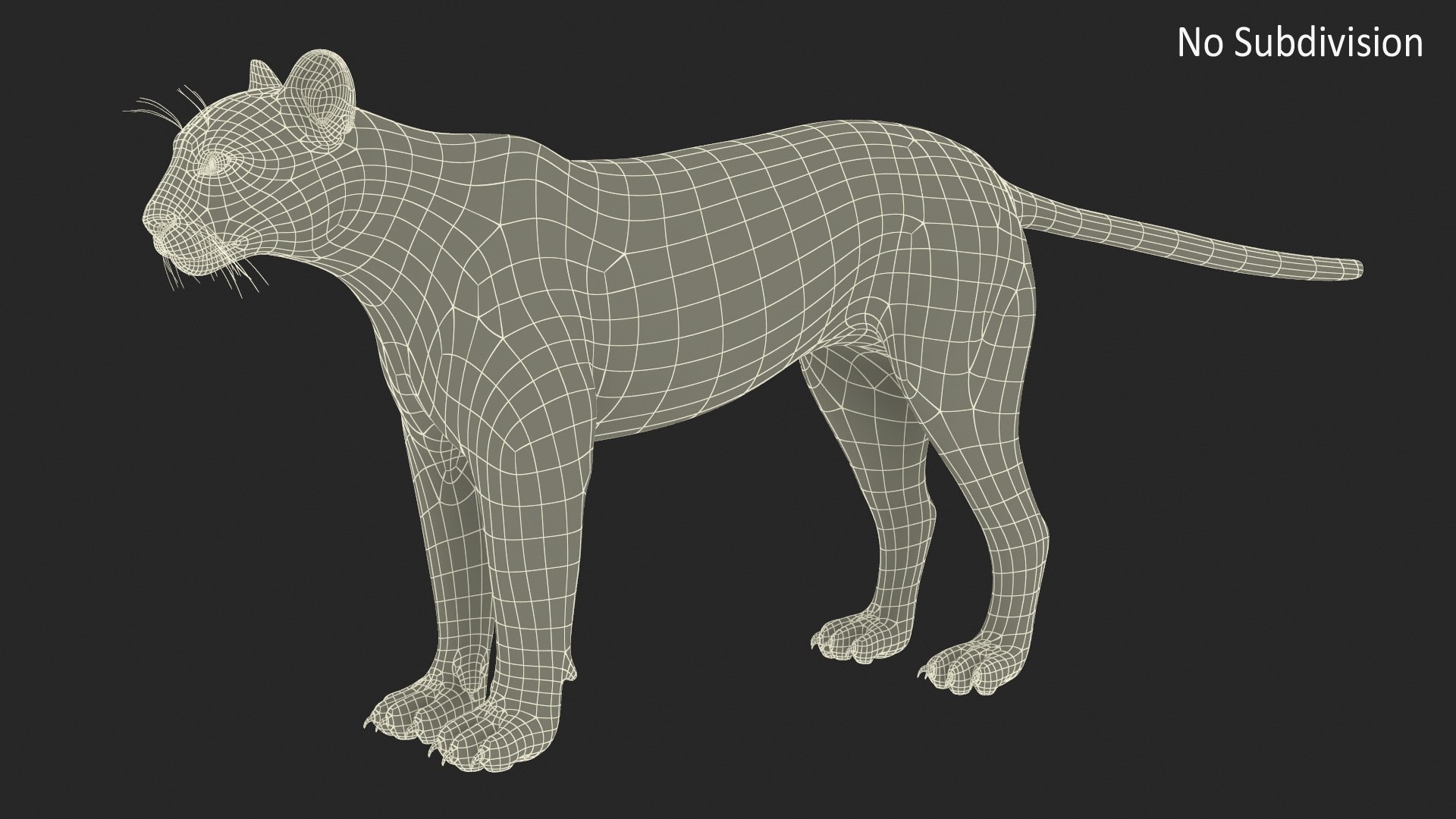 Puma Rigged 3D model https://p.turbosquid.com/ts-thumb/2g/7vBYz8/uJ/puma_rigged_019/jpg/1716125633/1920x1080/fit_q87/64ed581896b2edabc428233b3ead08af947d4210/puma_rigged_019.jpg