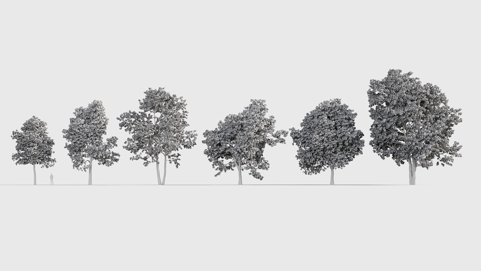 Quercus rubra 3D model 3D model https://p.turbosquid.com/ts-thumb/2g/91VJ0M/5G/gd_v20_quercus_rubra_05/jpg/1787198477/1920x1080/fit_q87/4899184f3c2695a7b9b7a9a8da56099d3464cfe5/gd_v20_quercus_rubra_05.jpg