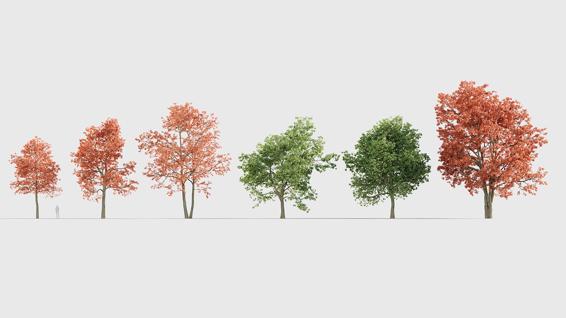 Quercus rubra 3D model 3D model https://p.turbosquid.com/ts-thumb/2g/91VJ0M/I4/gd_v20_quercus_rubra_01/jpg/1787198452/1920x1080/fit_q87/a20b26c3ba593156a9c80a94c188caafc57e9cf0/gd_v20_quercus_rubra_01.jpg