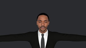Anthony Mackie Hyper Realistic Full Body Fully Rigged 3D Character model