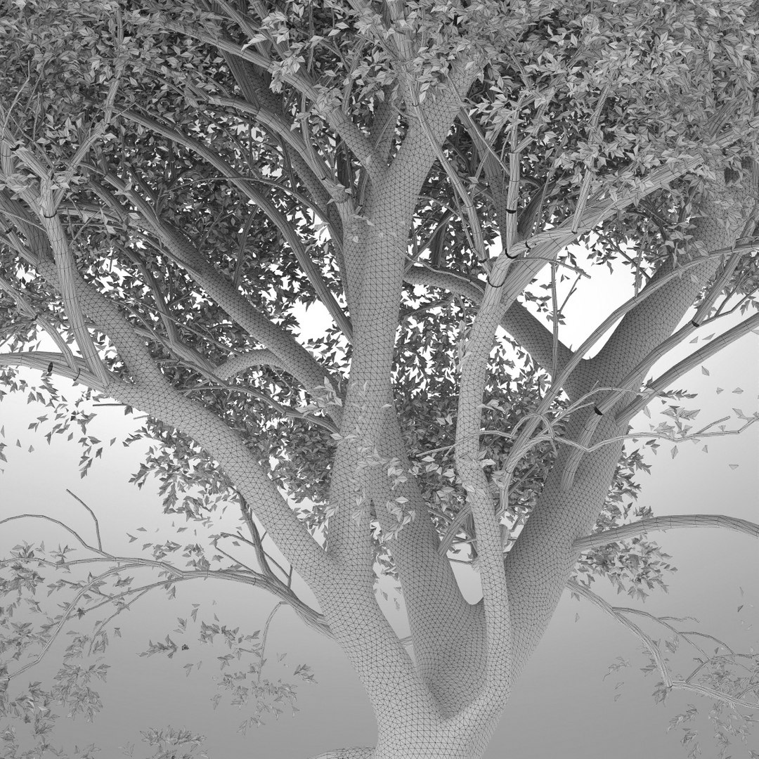hi realistic series tree 3d max https://p.turbosquid.com/ts-thumb/2g/X0seTI/DjqIz5MK/tree02e_0004/jpg/1345657687/1920x1080/fit_q87/78754aa976d7819b14c76579a5b3b72384372c1a/tree02e_0004.jpg