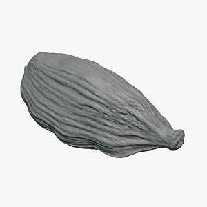 Cardamom 01 - For 3D Print model