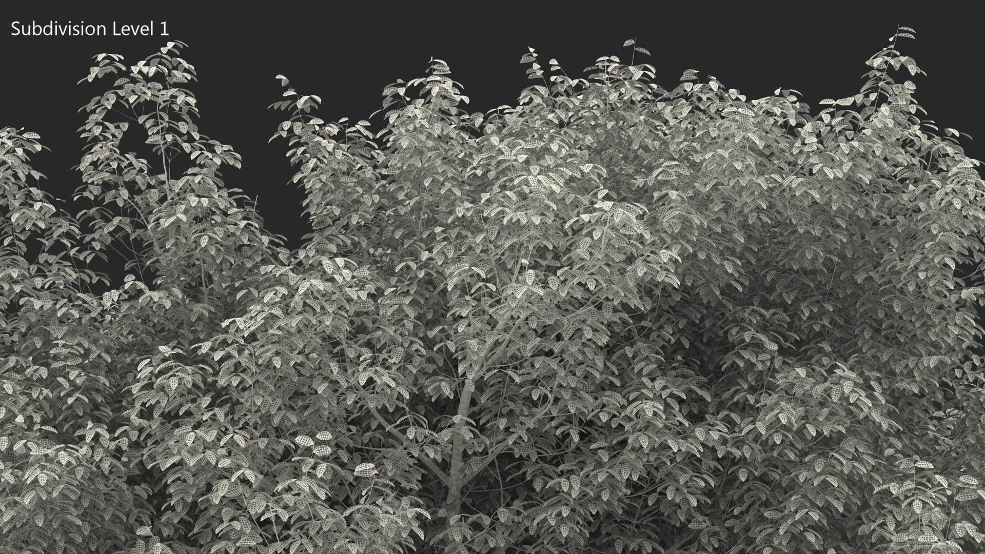 3D white ash tree autumn model https://p.turbosquid.com/ts-thumb/2g/Zez8b4/jEeVHCHu/whiteashtreeautumnmb3dmodel012/jpg/1575267451/1920x1080/fit_q87/c0e50e8a9a9acd1c72e959ab7e9cffe0ca6d627d/whiteashtreeautumnmb3dmodel012.jpg