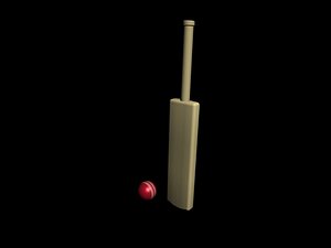 simple cricket bat and ball
