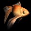 free max mode goldfish gold fish