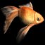 free max mode goldfish gold fish
