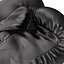 Boxing Gloves Everlast Black