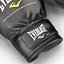 Boxing Gloves Everlast Black