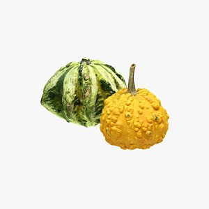 3D model Fancy pumpkins 2
