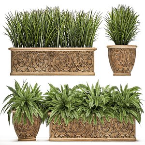 3D ornamental bushes classic flowerpots model