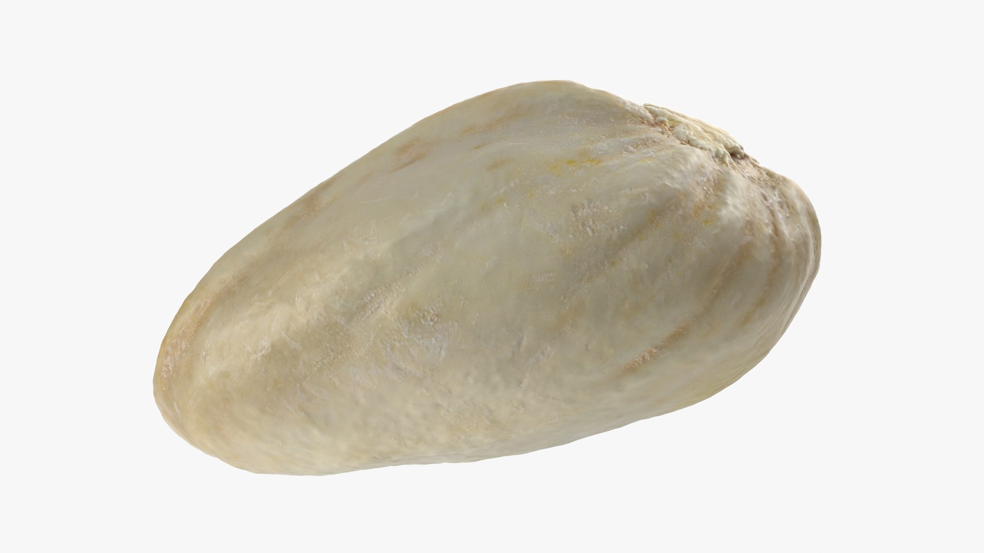 Empty Pistachio Shell 01 Raw Scan 3D model https://p.turbosquid.com/ts-thumb/2h/LsdYSA/VP/pistachioshell1_0012/png/1755073955/1920x1080/fit_q87/1f74cd6f85aea53ac4318415b16bd96b0caa119b/pistachioshell1_0012.jpg