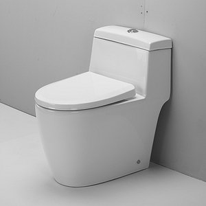 3D toilet