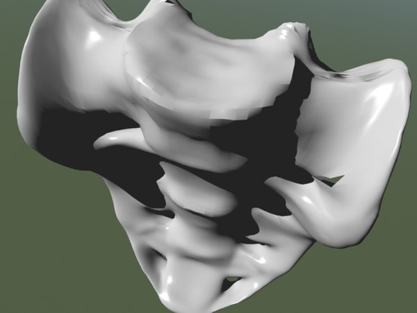 3d model sacrum