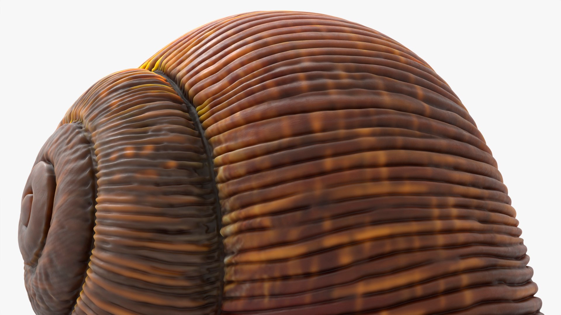 3D Snail Walking Animated Rigged For Blender model https://p.turbosquid.com/ts-thumb/2h/UB3ZmA/KL/snail_walking_animated_rigged_for_blender_010/jpg/1788208463/1920x1080/fit_q87/c082d632935413e12832faa3c9cbed62867ec8d0/snail_walking_animated_rigged_for_blender_010.jpg