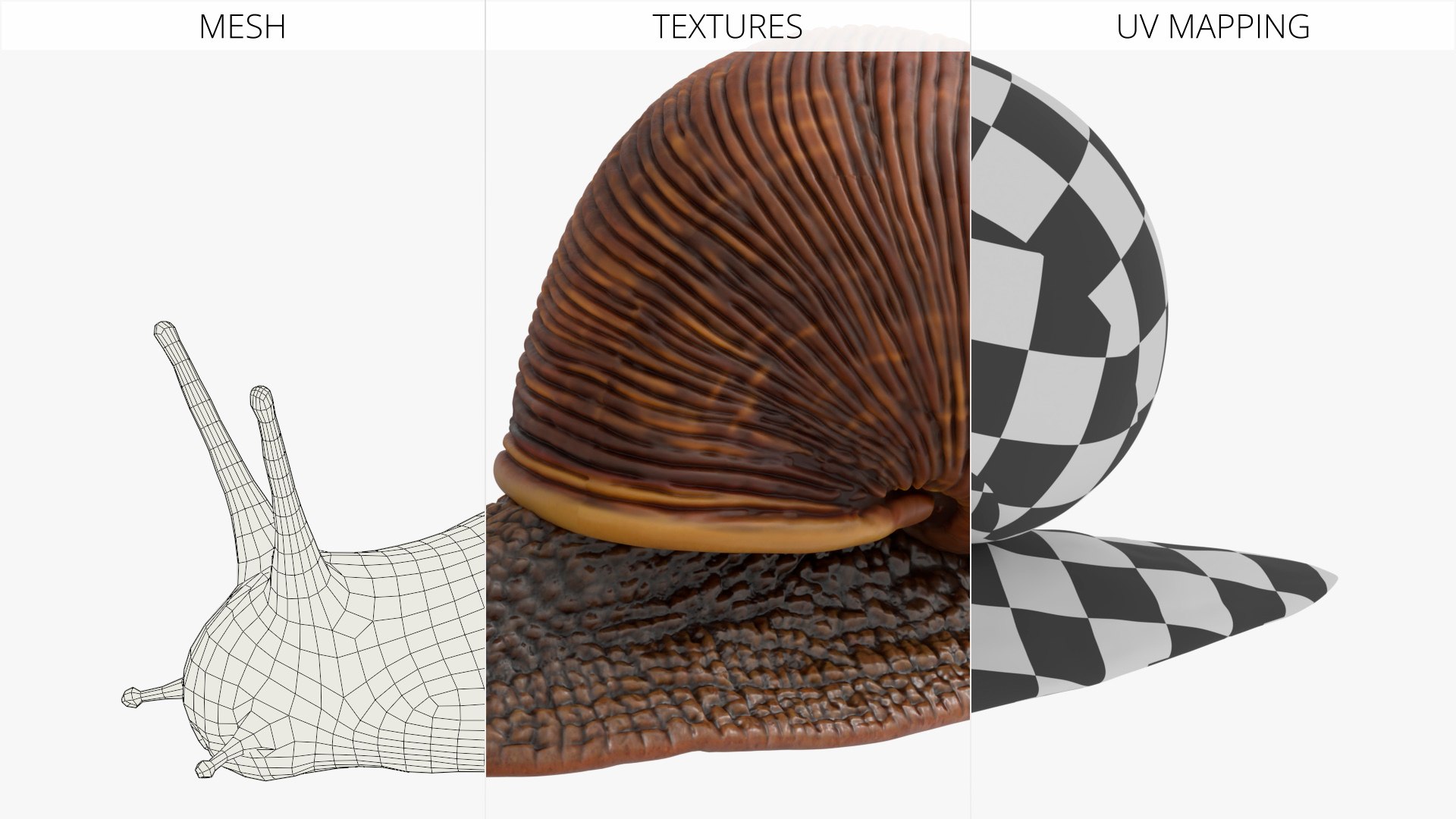 3D Snail Walking Animated Rigged For Blender model https://p.turbosquid.com/ts-thumb/2h/UB3ZmA/UR/snail_walking_animated_rigged_for_blender_011/jpg/1788208469/1920x1080/fit_q87/43fa33b6c85e35cfc7cbe3a79235532d1f1e8393/snail_walking_animated_rigged_for_blender_011.jpg