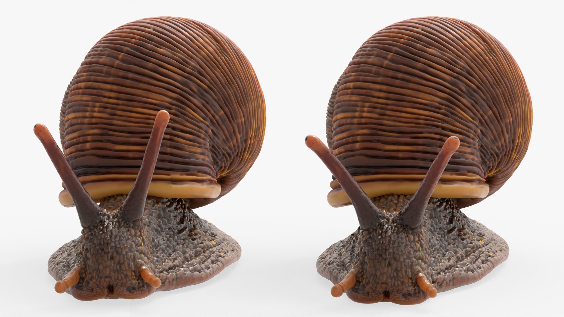 3D Snail Walking Animated Rigged For Blender model https://p.turbosquid.com/ts-thumb/2h/UB3ZmA/hv/snail_walking_animated_rigged_for_blender_008/jpg/1788208457/1920x1080/fit_q87/cc0a95b2be4c12d7dc09a76da7301d910266788c/snail_walking_animated_rigged_for_blender_008.jpg