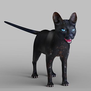 Cat Black Rigged in Blender 3D