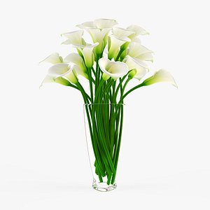 vase calla flowers 3d model
