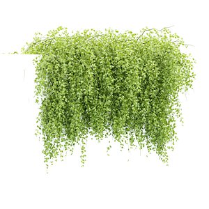 3D Hanging Wall Creeper Plants N22501 model