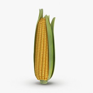 Ears of Corn Yellow