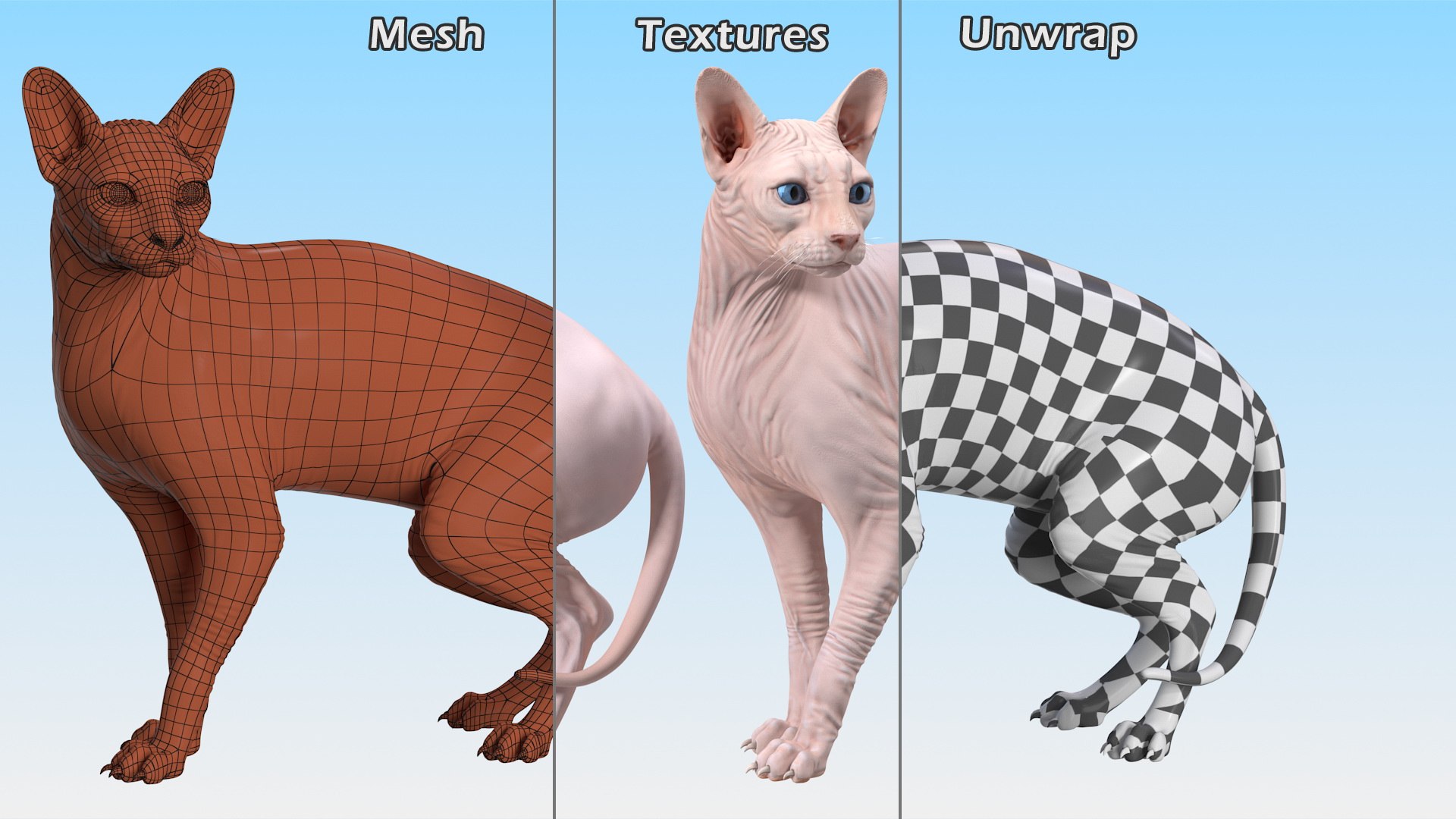 3D model cream color sphynx cat https://p.turbosquid.com/ts-thumb/2h/g0C6pI/ym3YEv92/creamcolorsphynxcat3dsmodel015/jpg/1604855016/1920x1080/fit_q87/705c620ede9a84fa203f1c1fb0816aac4322c76c/creamcolorsphynxcat3dsmodel015.jpg